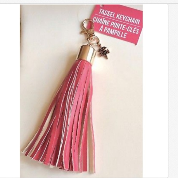 RN Caduceus Nursing Keychain Purse Charm Tassel Nurse Graduation Gift - Picture 2 of 7